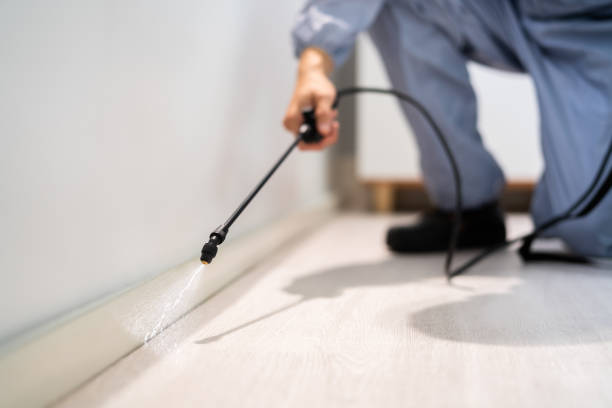Licensed Pest Control service in Paducah, TX - Show Me Pest Control